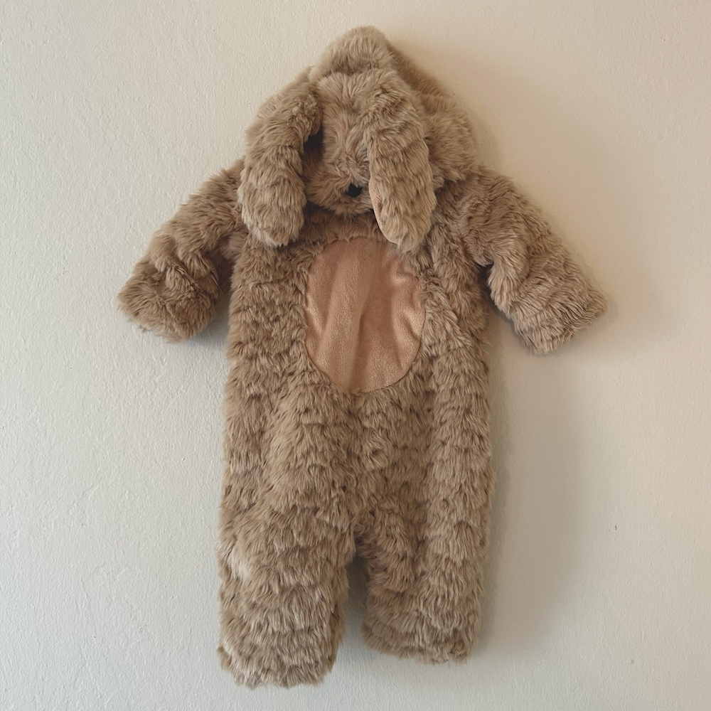 Pottery Barn Kids Labradoodle Baby Costume